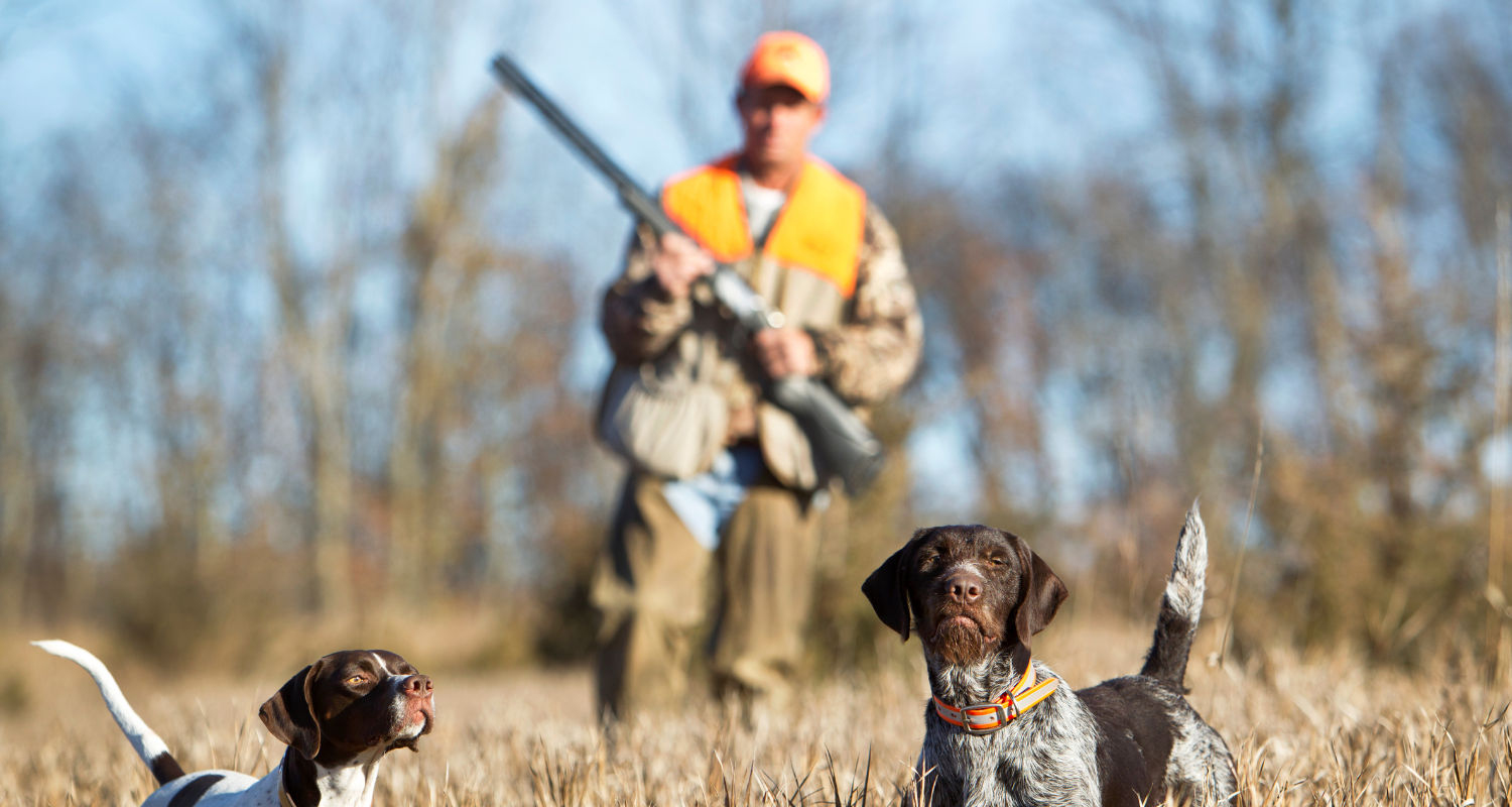 State-of-the-art vape, CBD, and cannabis edibles manufacturing unit with advanced equipment and technology.