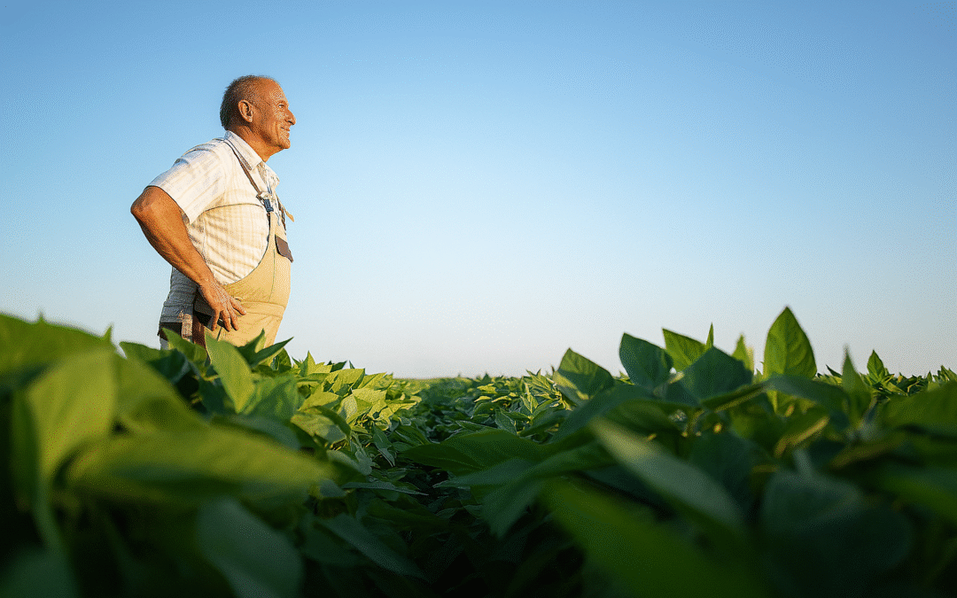 Business owner reflecting on legacy and future exit strategy